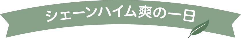 シェーンハイム爽の一日